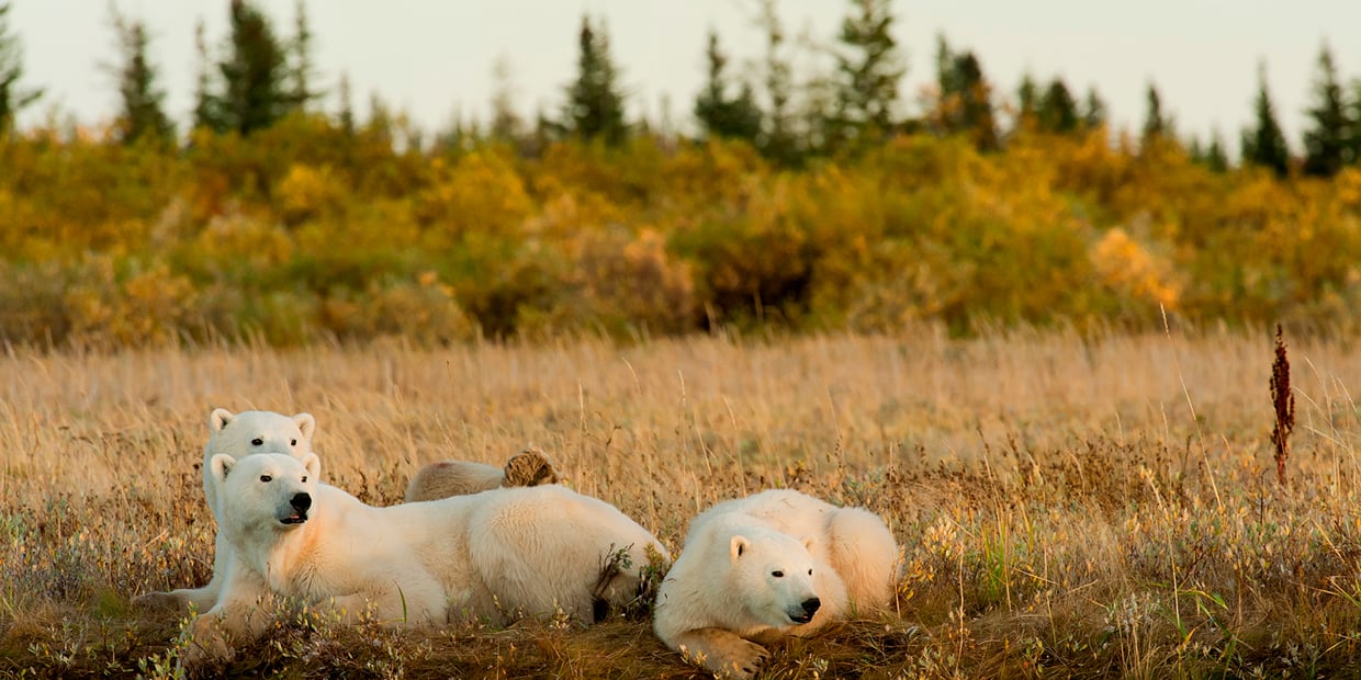 Canada shoulder season scenery